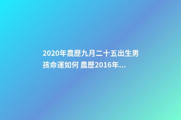 2020年農歷九月二十五出生男孩命運如何 農歷2016年9月25晚上9.50生男孩是什么命？-第1張-觀點-玄機派